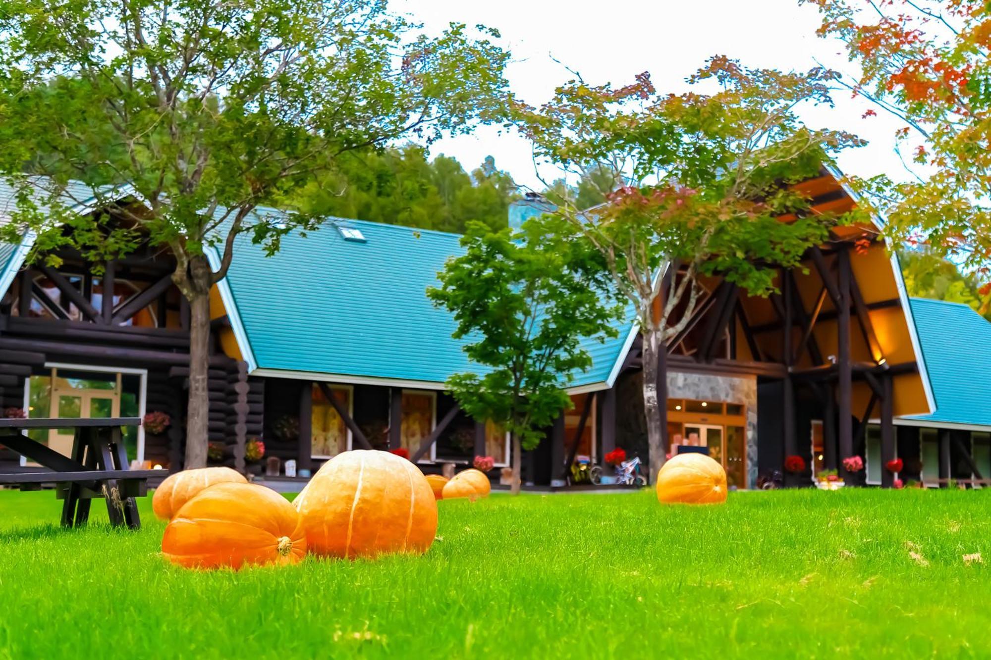 Log Hotel The Maple Lodge Iwamizawa Exterior foto